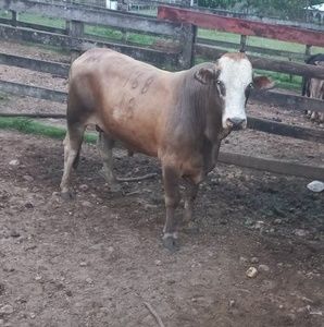 Meet your Posher, Álvarez